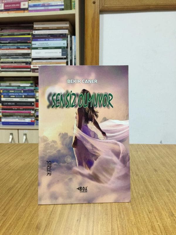Sensiz Olmuyor — kapak